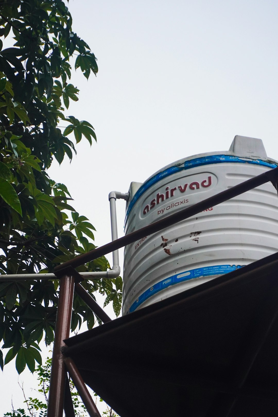 water-tank-with-green-leaves-and-overcast-sky-5armmprbt78